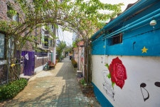 千戸洞バラ村（천호동 장미마을） - 観光 - 韓国旅行・観光情報