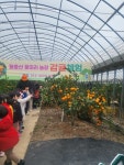 수성구 관광정보체험센터 관광 정보와 주변 관광 명소 및 근처 맛집 여행 정보