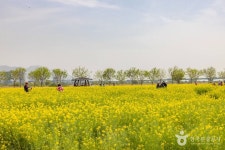 대저생태공원 - 주변 여행 및 근처 관광 명소 - 국내 여행 정보와 관광 명소 정보