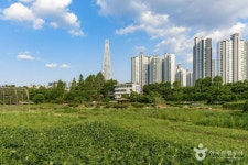 잠실한강공원 관광 정보와 주변 관광 명소 및 근처 맛집 여행 정보