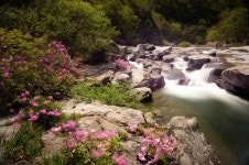 월성계곡 관광 정보와 주변 관광 명소 및 근처 맛집 여행 정보
