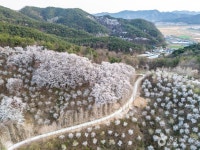 대가야수목원 관광 정보와 주변 관광 명소 및 근처 맛집 여행 정보