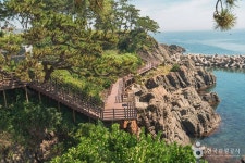 강동사랑길 관광 정보와 주변 관광 명소 및 근처 맛집 여행 정보