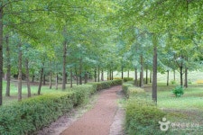 악양생태공원 관광 정보와 주변 관광 명소 및 근처 맛집 여행 정보