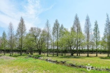 신라왕경숲 관광 정보와 주변 관광 명소 및 근처 맛집 여행 정보