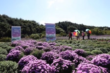 문수산 자연휴양림 야영장 - 주변 여행 및 근처 관광 명소 - 국내 여행 정보와 관광 명소 정보
