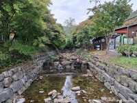 한천자연휴양림 관광 정보와 주변 관광 명소 및 근처 맛집 여행 정보
