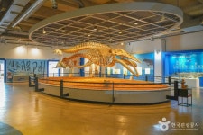 장생포 고래박물관 문화 정보와 주변 관광 명소 및 근처 맛집 여행 정보