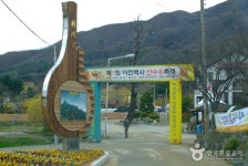 京畿觀光 : 利川山茱萸村(이천 산수유마을)
