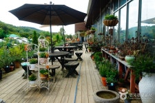 Ilyeong Herbland (일영허브랜드) - Sightseeing - Korea travel and tourism information