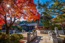 龍仁大長今パーク（용인 대장금파크） - 観光 - 韓国旅行・観光情報