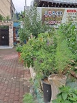 Hongbuyong Hansik (홍부용한식) - Restaurante - los viajes e información turística de Corea