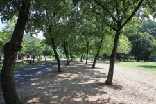 햇살아래캠핑장 레저스포츠 정보와 주변 관광 명소 및 근처 맛집 여행 정보