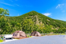 청송 장전리 향나무 - 주변 여행 및 근처 관광 명소 - 국내 여행 정보와 관광 명소 정보