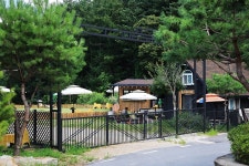 도그베이팜팜 레저스포츠 정보와 주변 관광 명소 및 근처 맛집 여행 정보