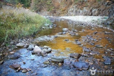 서봉사계곡 마을관리휴양지 관광 정보와 주변 관광 명소 및 근처 맛집 여행 정보
