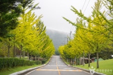 화랑체육공원 관광 정보와 주변 관광 명소 및 근처 맛집 여행 정보
