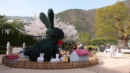 뉴모나코 대구동성로 - 주변 여행 및 근처 관광 명소 - 국내 여행 정보와 관광 명소 정보
