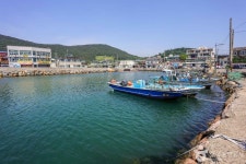 월전 활어판매장 - 주변 여행 및 근처 관광 명소 - 국내 여행 정보와 관광 명소 정보