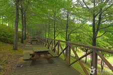 평창문화관광 > 음식 / 숙박 / 쇼핑 > 살래요 평창문화관광  &gt; 음식 / 숙박 / 쇼핑 &gt; 살래요