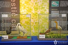 은암자연과학박물관 문화 정보와 주변 관광 명소 및 근처 맛집 여행 정보
