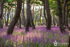 황성공원 관광 정보와 주변 관광 명소 및 근처 맛집 여행 정보