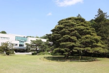 홍릉시험림(홍릉숲) 관광 정보와 주변 관광 명소 및 근처 맛집 여행 정보
