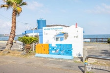 [제주올레 8코스] 월평-대평 올레 - 주변 여행 및 근처 관광 명소 - 국내 여행 정보와 관광 명소 정보