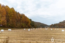 둥구리 농촌체험휴양마을 관광 정보와 주변 관광 명소 및 근처 맛집 여행 정보