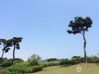 윈체스트 골프클럽 - 관광지정보 | 어디로 갈까 | 대한민국구석구석