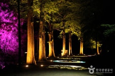 Gangcheonsan County Park (강천산 군립공원) - Sightseeing - Korea travel and tourism information