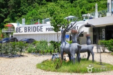 비브릿지 숙박 정보와 주변 관광 명소 및 근처 맛집 여행 정보