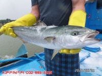 동주염전 - 주변 여행 및 근처 관광 명소 - 국내 여행 정보와 관광 명소 정보