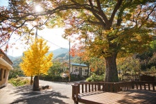 카페묵실 - 주변 여행 및 근처 관광 명소 - 국내 여행 정보와 관광 명소 정보