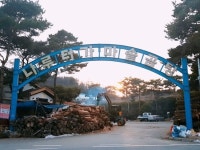 갈밭식당 - 주변 여행 및 근처 관광 명소 - 국내 여행 정보와 관광 명소 정보