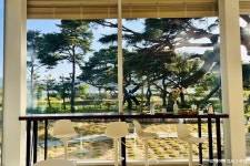 늘,파인 음식점 정보와 주변 관광 명소 및 근처 맛집 여행 정보