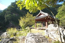 산림청 국립가리왕산자연휴양림 - 여행정보 |