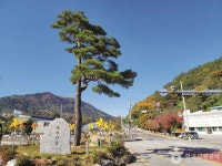 충북 제천 수산면 [슬로시티] 관광 정보와 주변 관광 명소 및 근처 맛집 여행 정보