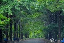 평창문화관광 > 음식 / 숙박 / 쇼핑 > 살래요 평창문화관광  &gt; 음식 / 숙박 / 쇼핑 &gt; 살래요