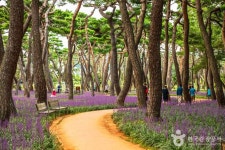 황성공원 관광 정보와 주변 관광 명소 및 근처 맛집 여행 정보