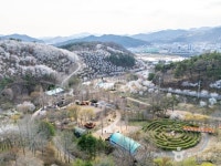 대가야수목원 관광 정보와 주변 관광 명소 및 근처 맛집 여행 정보