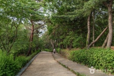 설눈 - 주변 여행 및 근처 관광 명소 - 국내 여행 정보와 관광 명소 정보