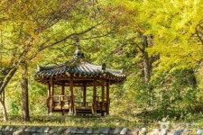 안동 가송마을 관광 정보와 주변 관광 명소 및 근처 맛집 여행 정보