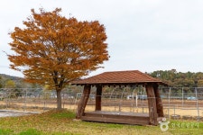 둥구리 농촌체험휴양마을 관광 정보와 주변 관광 명소 및 근처 맛집 여행 정보