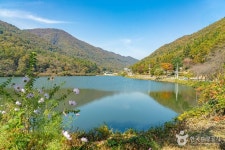 별빛주막 : 소양점 - 주변 여행 및 근처 관광 명소 - 국내 여행 정보와 관광 명소 정보