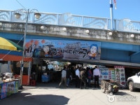  버스  속초 해수욕장   대포항   속초시장/아바이마을 (당일) : 인터파크투어 내륙테마