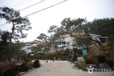 수림펜션 - 주변 여행 및 근처 관광 명소 - 국내 여행 정보와 관광 명소 정보