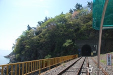 Yeosu Ocean Railbike (여수해양레일바이크) - Leisure - Korea travel and tourism information