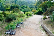 Ilyeong Herbland (일영허브랜드) - Sightseeing - Korea travel and tourism information