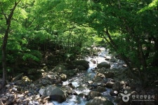 남악사 - 주변 여행 및 근처 관광 명소 - 국내 여행 정보와 관광 명소 정보